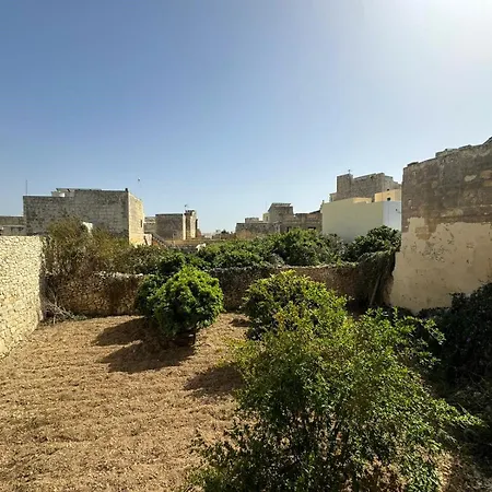 Nina Siġġiewi