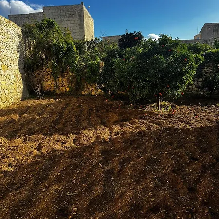 Nina * Siġġiewi